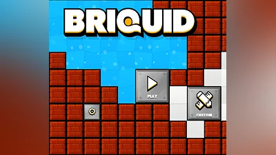 Briquid Steam CD Key