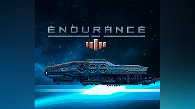 Endurance - space shooter Steam CD Key