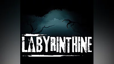 Labyrinthine PC Steam CD Key