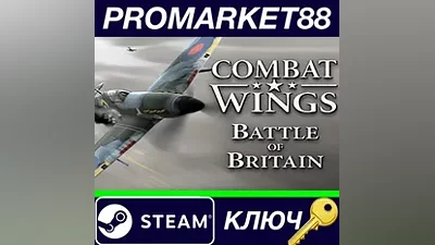 Combat Wings: Battle of Britain EMEA Steam Key GLOB