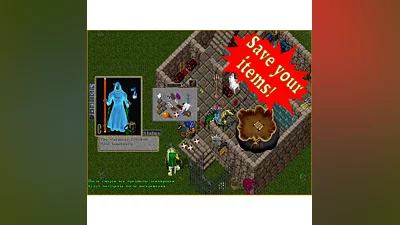 Ultima online - Olmer online &quot;Insurance sertificate&quot;
