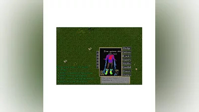 Ultima online - Olmer online &quot;Unicorn shirt&quot;