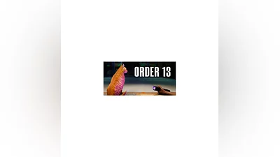 Order 13   STEAM GIFT RUSSIA
