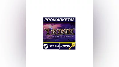 Trine Enchanted Edition EU Steam Key  EUROPE