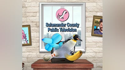 Salamander County Public Television XBOX One / Xbox Series X|S CD Key
