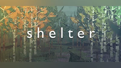 Shelter