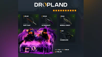 Random CS2 Skin Case Dropland.net