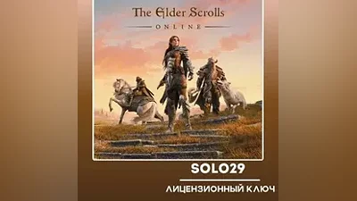 The Elder Scrolls Online Steam Key RU+CIS