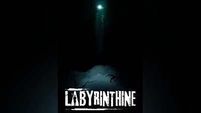 Labyrinthine Standard Edition Steam CD Key (Global)