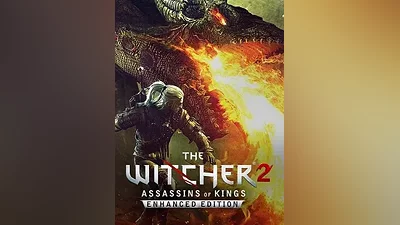 The Witcher 2: Assassins of King EE / GOG Key / GLOBAL