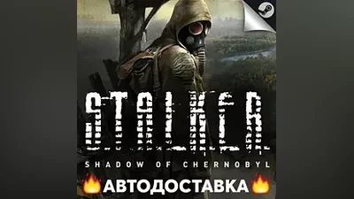 S.T.A.L.K.E.R.: Shadow of Chernobyl - STEAM RU / AUTO