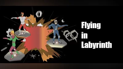Flying in Labyrinth