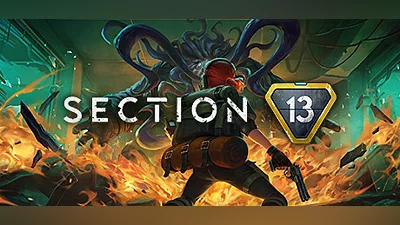 Section 13