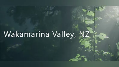 Wakamarina Valley, New Zealand