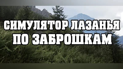 СИМУЛЯТОР ЛАЗАНЬЯ ПО ЗАБРОШКАМ