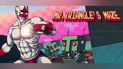 Mr. Triangle's Maze