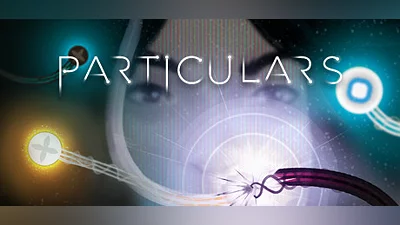 Particulars