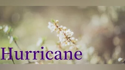 Hurricane