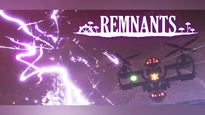 Remnants