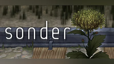 Sonder