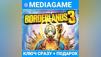 BORDERLANDS 3 (STEAM KEY)