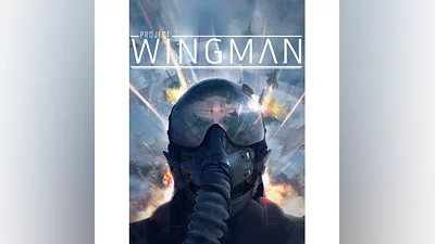 Project Wingman STEAM KEY RU+CIS
