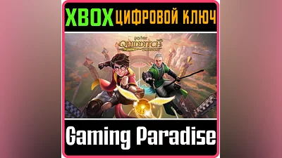 HARRY POTTER: QUIDDITCH CHAMPIONS XBOX ONE/X|S KEY
