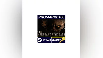 The Mortuary Assistant EU Steam Key  EUROPE