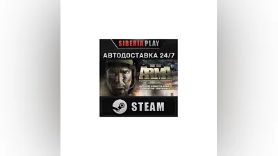 Arma 2: Combined Operations STEAM AUTO RU/UA/KZ/CIS