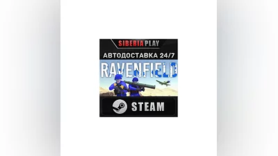 Ravenfield STEAM AUTO RU/UA/KZ/CIS