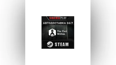 The Past Within STEAM AUTO RU/UA/KZ/CIS