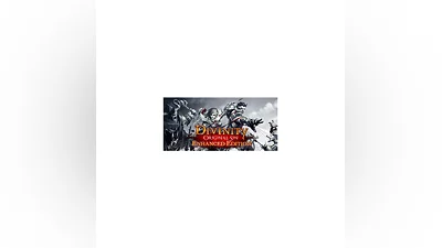 Divinity: Original Sin Enhanced Edition - STEAM GIFT RU