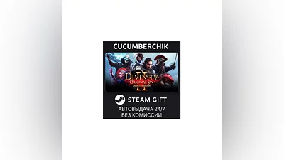 Divinity: Original Sin 2 STEAM GIFT AUTO RU+World