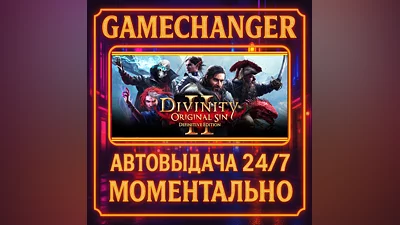 Divinity: Original Sin 2 - Definitive Edition ️AUTO STE