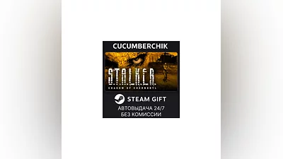 STALKER: Shadow of Chernobyl STEAM GIFT AUTO RU+World