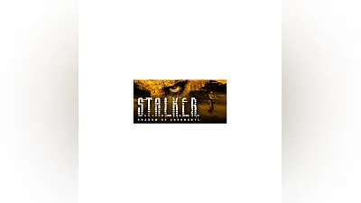 STALKER: Shadow of Chernobyl (Steam Gift RU)
