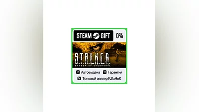 S.T.A.L.K.E.R.: Shadow of Chernobyl STEAM GIFT•RU ️AUTO