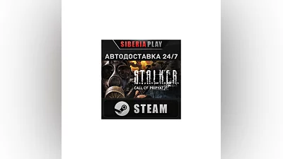 S.T.A.L.K.E.R.: Call of Pripyat STEAM AUTO RU/UA/KZ/CIS