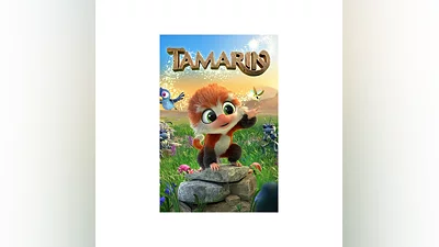 Tamarin  Xbox One & Xbox Series X|S activation