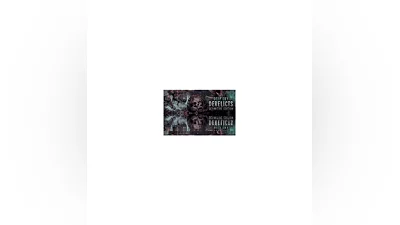 Deep Sky Derelicts: Definitive Edition  SteamKey