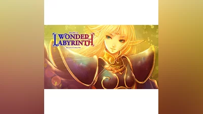 Record of Lodoss War Deedlit in Wonder Labyrinth XBOX