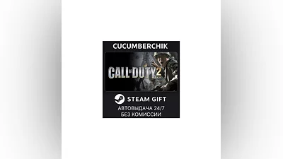 Call of Duty 2 STEAM GIFT AUTO RU+World