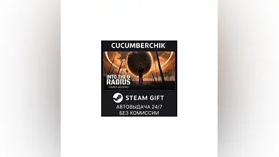 Into the Radius 2 STEAM GIFT AUTO RU+World
