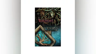 Planescape Torment and Icewind Dale Enhanced Activation