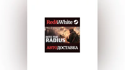 Into the Radius VR * STEAM RUSSIA AUTODELIVERY