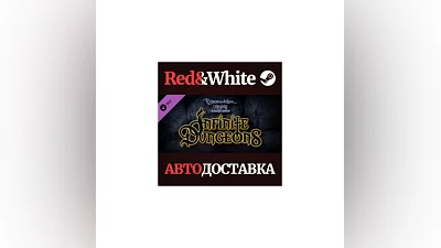 Neverwinter Nights - Infinite Dungeons Premium Module