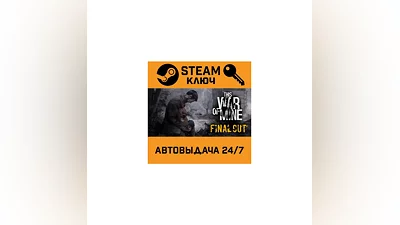 This War of Mine. STEAM-key (Region free)