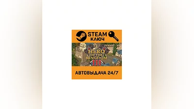 Hero of the Kingdom III. STEAM-key (Region free)