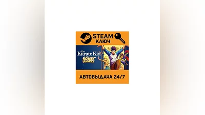 The Karate Kid: Street Rumble. STEAM-key (Region free