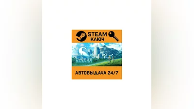 Cygnus Enterprises. STEAM-key (Region free)